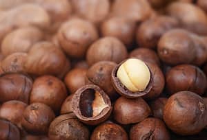 Can Macadamia Nuts Go Bad? A Comprehensive Guide to Storage and Quality