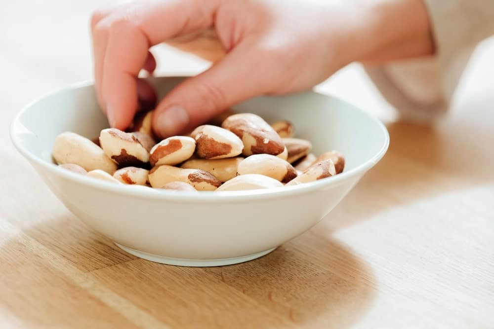 Brazil Nuts vs Macadamia Nutritional Highlights and FaceOff!