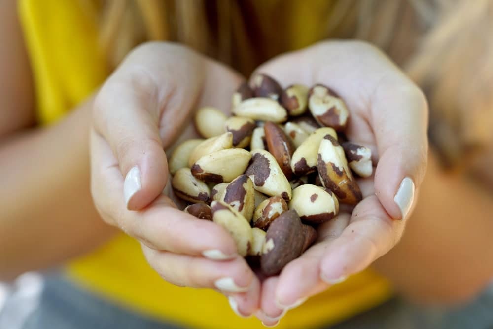 Does Roasting Brazil Nuts Destroy Selenium? Unveiling the Truth